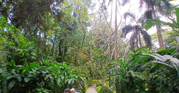 FIJI-NADI: Garden of Sleeping Giant with Hotspring Tour