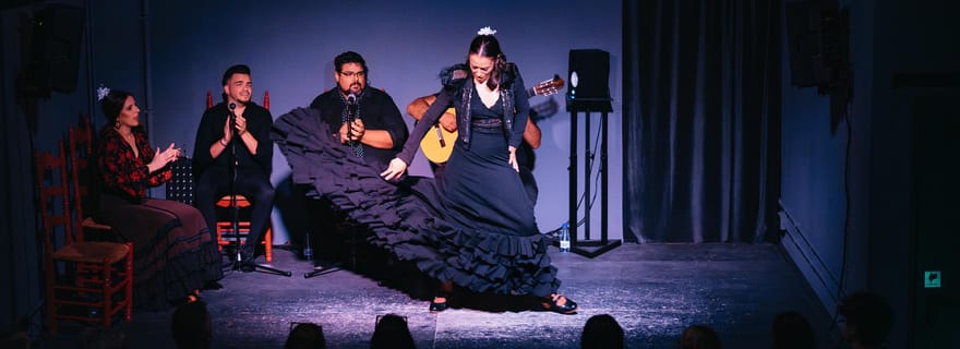 Valencia: biglietto per lo spettacolo di flamenco al Palosanto