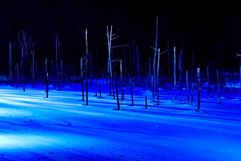 【Winter-Only】 Blue Pond Illumination & Ningle Terrace Tour Sapporo Tv Tower 1F Information Center Departure