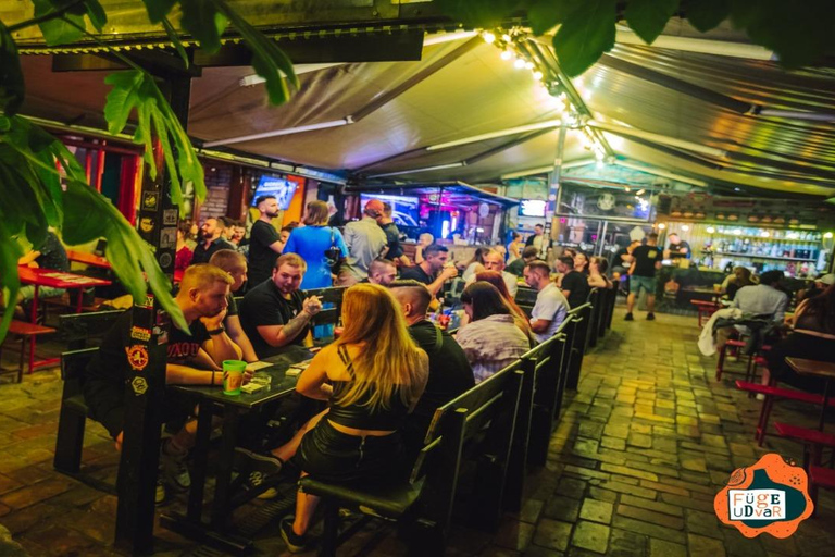 Pubcrawl &amp; Ruin Bar Tour in Boedapest – Gratis shotjes &amp; VIP-toegangKroegentocht door Boedapest &amp; tour langs ruïnebarretjes – Gratis shotjes &amp; VIP-toegang