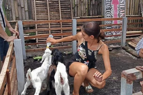 Ubud: River Tubing, ATV Ride & Goat Farm Tour with Milk Single ATV Ride Meet in our Location with Fresh Etawa Milk