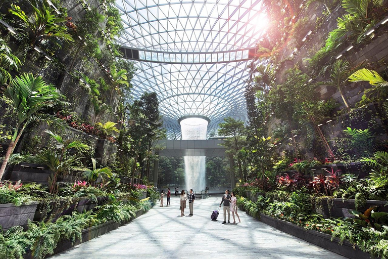 Singapore: Jewel Changi Airport Ticket Mastercard ® Canopy Bridge + Complimentary Canopy Park