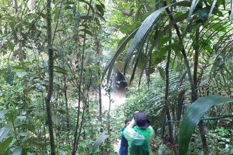 Tour Privado Caverna do Maroaga e Gruta da Judéia – Manaus Execução Privado Caverna do Maroaga e Gruta da Judéia