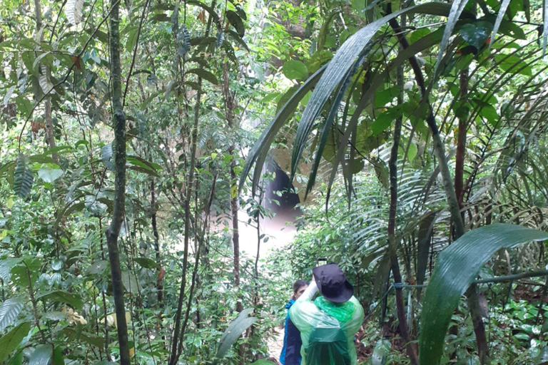 Tour Privado Caverna do Maroaga e Gruta da Judéia – Manaus Execução Privado Caverna do Maroaga e Gruta da Judéia
