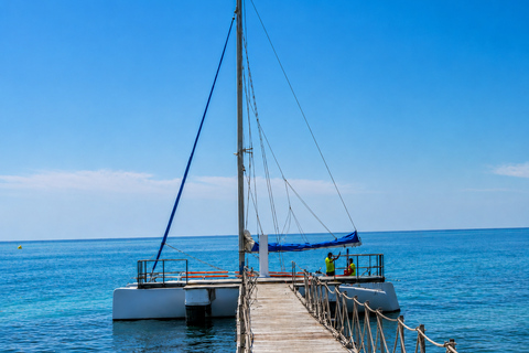 Djerba: Catamaran with Dolphin Watching and Swimming Break