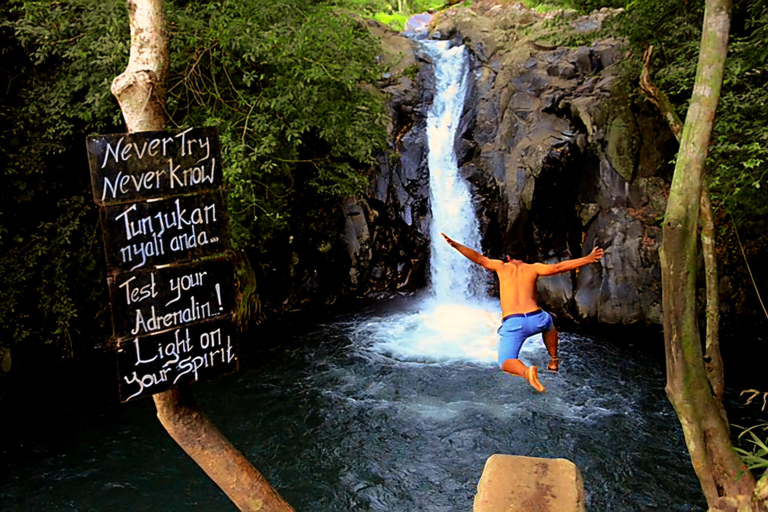 Bali : Ultimate Waterfall Tour (All Inclusive & Private)