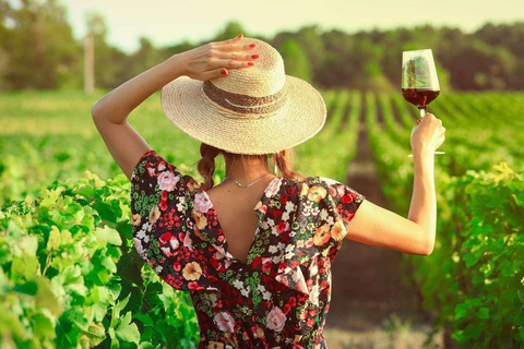 Huacachina: Private transportation tour with Pisco tasting