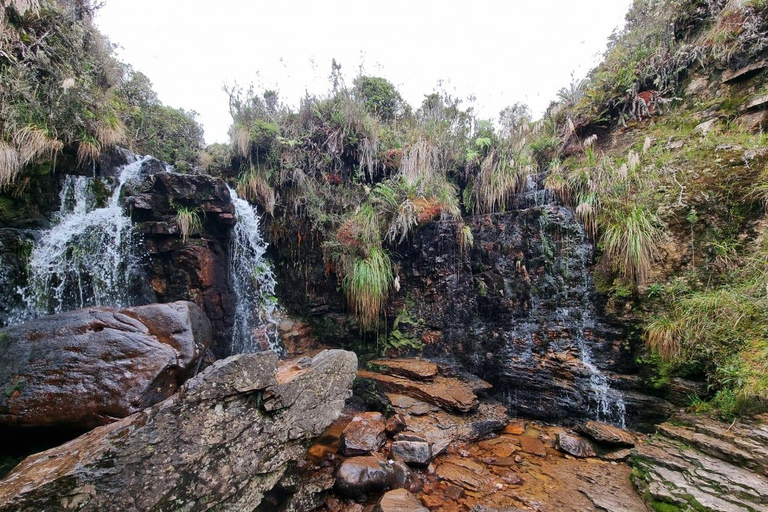 Le páramo, source d&#039;eau et gardien de la vie - RandonnéePáramo, source d&#039;eau et gardien de la vie - Randonnée