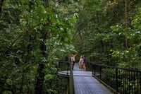 Queensland, Cape Tribulation, Daintree und Mossman Day Reise - Housity