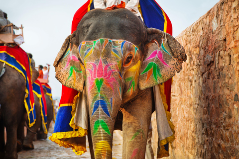 Super Jaipur Tour From Delhi in a Private Car- All Inclusive