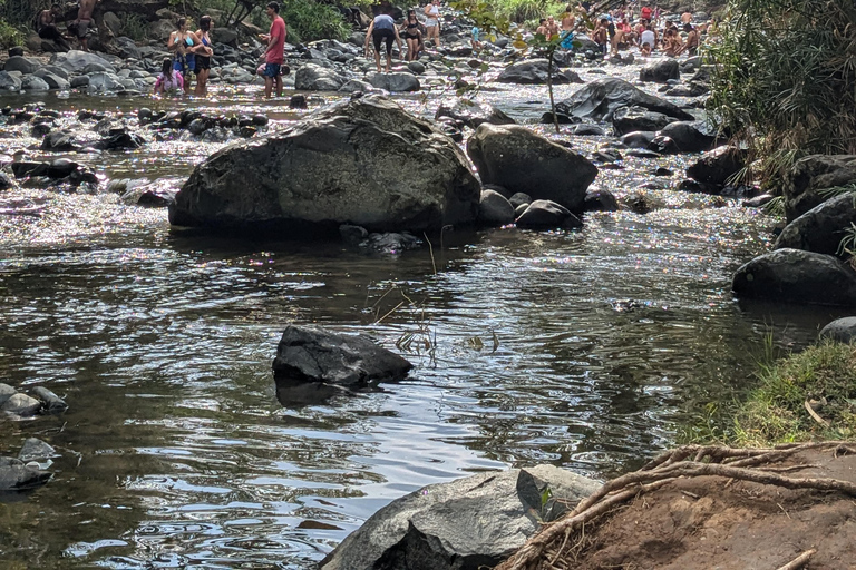 COP16: Entdecke Cali durch seine Naturwunder