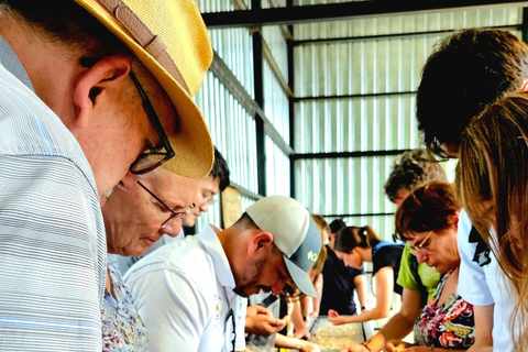 Boquete: Geisha Coffee Plantation Tour with Tasting