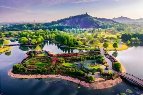 Shanghai: Chenshan Botanical Garden | Guangfulin Site Ticket