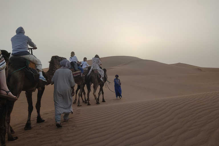 From Marrakech: 2-Day Zagora Desert Tour Camel & Luxury Camp Shared Tour With Luxury Camp