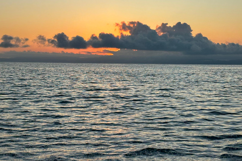 From Puerto Jimenez: Safari to Carate wildlife observation Safari to Carate from Puerto Jimenez with local tour guide.