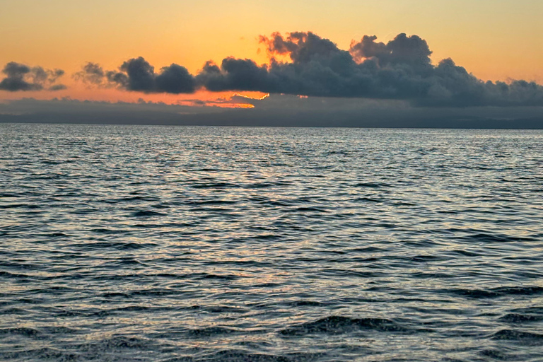 From Puerto Jimenez: Safari to Carate wildlife observation Safari to Carate from Puerto Jimenez with local tour guide.