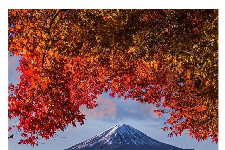 Tóquio: Tour particular de um dia para o Monte Fuji e lagos