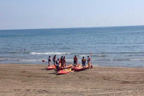 Valencia: Excursión en KayakExcursión en kayak por Valencia + Snorkel