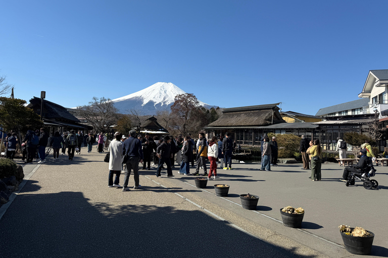 Tokyo: Mt Fuji A Journey Through Nature, History & Culture Tokyo: Mt Fuji A Journey Through Nature, History, & Culture