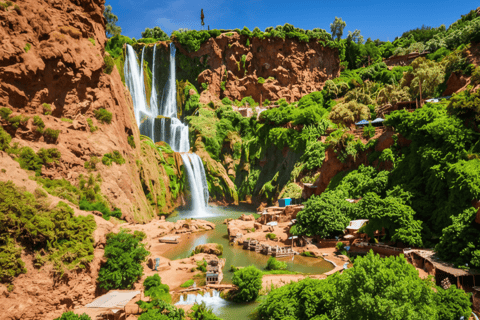 乌祖德瀑布：导游陪同的一日旅行和游船乌祖德瀑布：私人一日游（含导游及乘船游览）