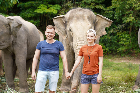 Phuket: Passeio e alimentação no parque natural de elefantes éticos