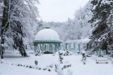 From Tbilisi: Borjomi and Bakuriani Day Trip