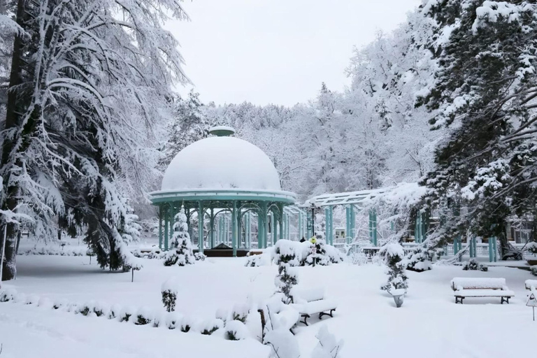 From Tbilisi: Borjomi and Bakuriani Day Trip