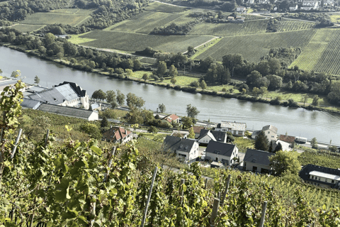 Luxembourg: Moselle Wine & Beaufort Castle Private Day Tour