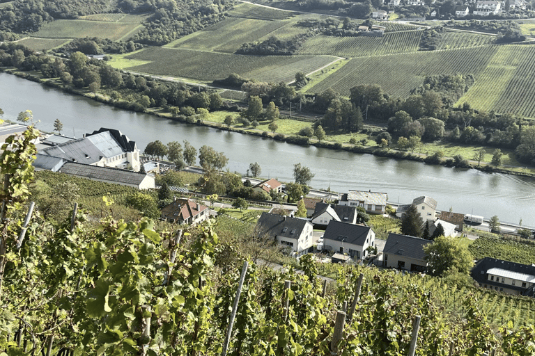Luxembourg: Moselle Wine & Beaufort Castle Private Day Tour