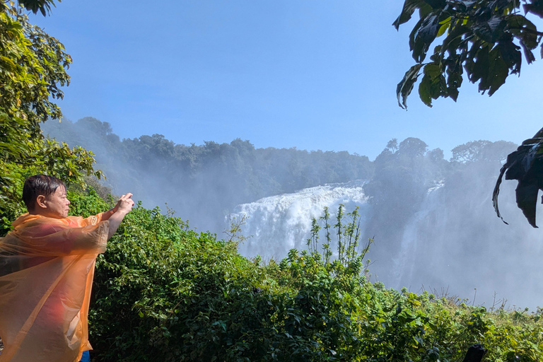 Victoria Falls: Guided Tour with Rainforest & Big Tree Full Heritage Experience: Falls, Rail & City