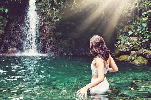 From Jakarta: Gunung Salak Waterfall & Rice Terrace
