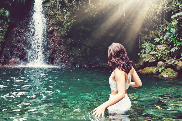 From Jakarta: Gunung Salak Waterfall & Rice Terrace