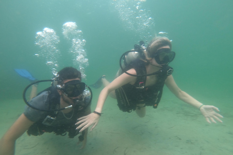 Praia da Cidade do Panamá: Excursão de mergulho para iniciantesPanama City Beach: Excursão de mergulho para iniciantes