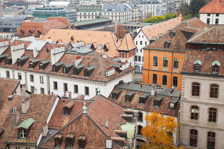 Geneva Old Town Private Tour with Lake Genova Cruise Tickets