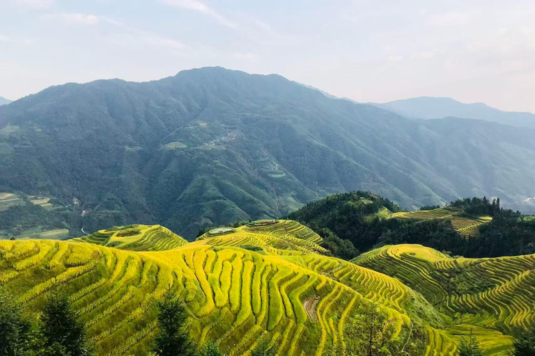 From Guilin/Yangshuo: Longji Rice Terraces Private Tour From Guilin: Longji Rice Terraces Private Tour