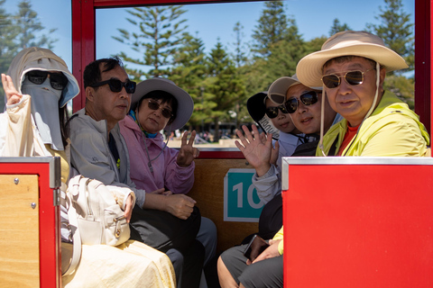 Margaret River Day Tour: Wine, Jetty Train & Canal Rocks