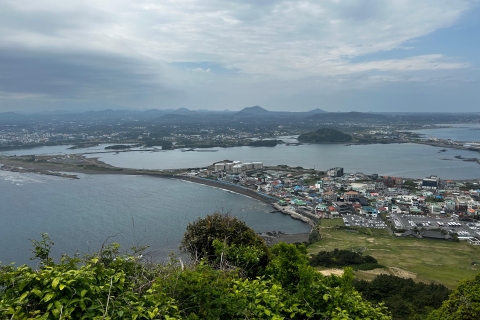 One-day tours of Jeju for cruise guests with certified guide