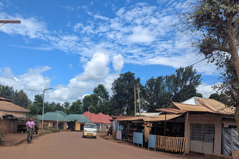 Explore Nairobi: Markets, Souvenir shops & City Tour