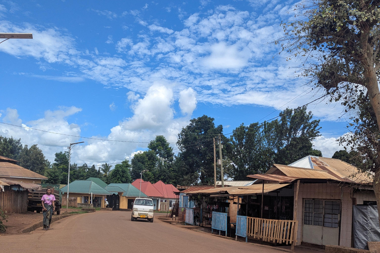 Explore Nairobi: Markets, Souvenir shops & City Tour