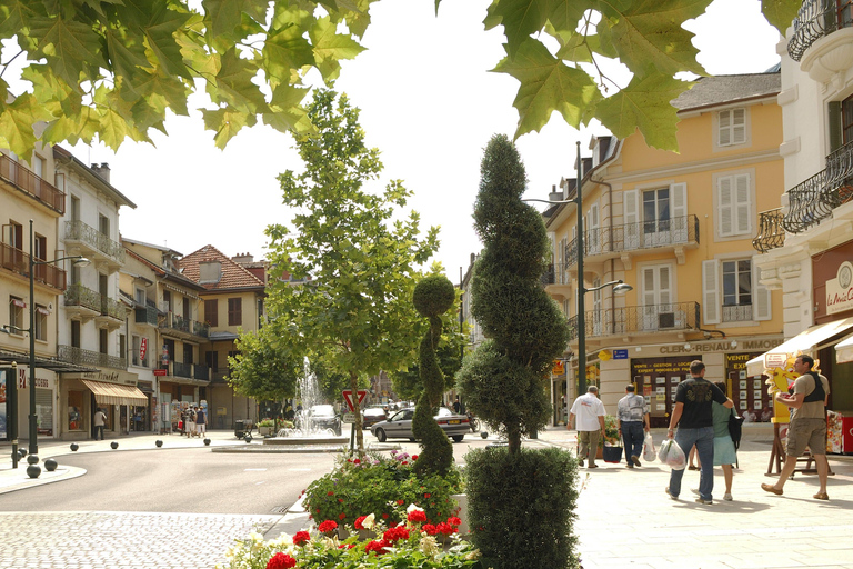 Lyon: Alps Day Trip, Chambéry, Aix-les-Bains, & Annecy