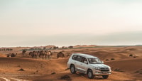 From Dubai, Sunrise Hot Air Balloon Ride with 4X4 Transfers - Housity