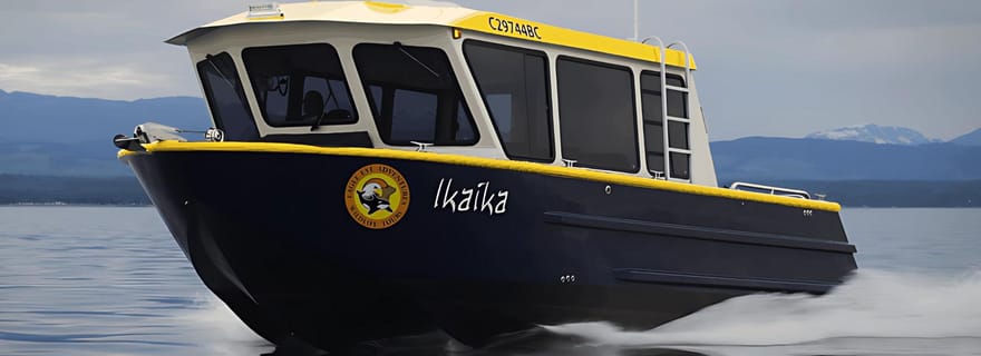Campbell River : 4 heures d'excursion à bord d'un bateau couvert pour observer les baleines et la faune