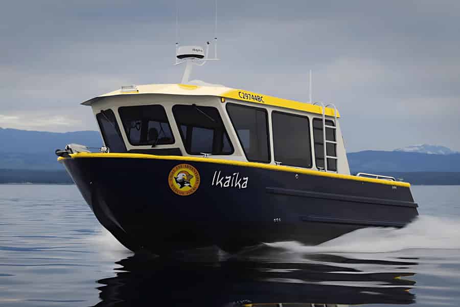 Campbell River: 4-stündige Wal- und Wildtier-Tour mit dem überdachten Boot. Foto: GetYourGuide Campbell River: 4-stündige Wal- und Wildtier-Tour mit dem überdachten Boot. Foto: GetYourGuide