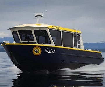 Campbell River: 4 Hour Whale & Wildlife Tour by Covered Boat