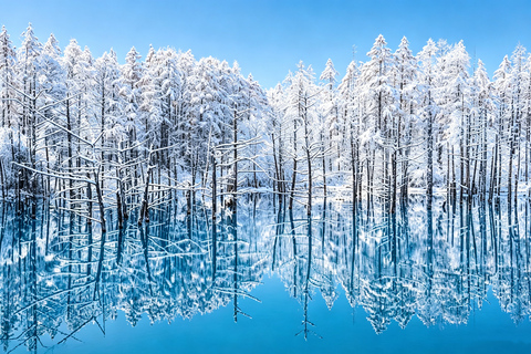 Sapporo: Asahiyama Zoo, Blue Pond & Chiyoda Farm Day Tour Private Sightseeing Tours