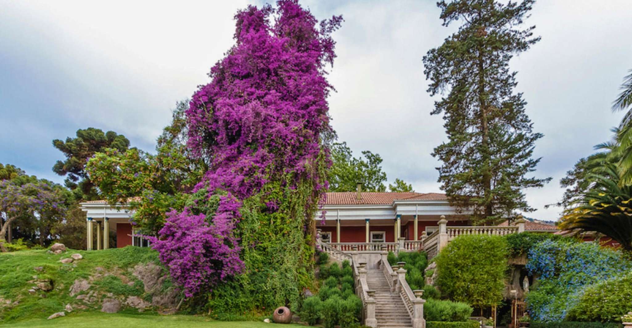 Santa Rita Classic Vineyard Tour - Hizvo