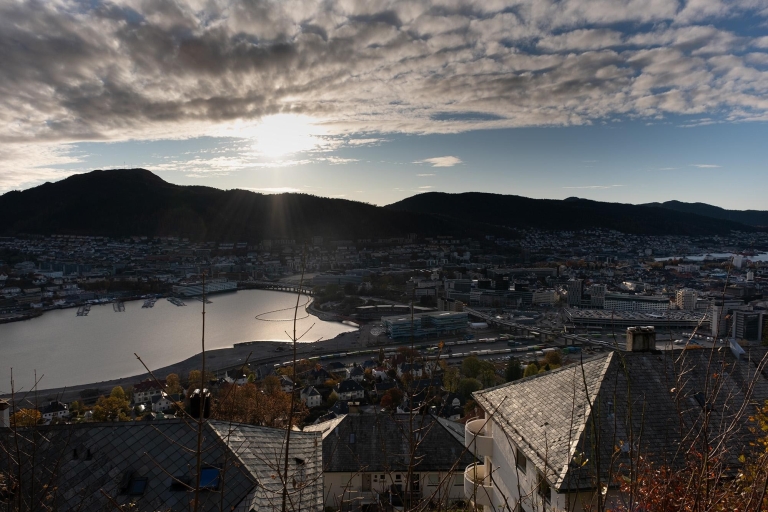 Bergen: Minibustour zu den schönsten Plätzen der Stadt