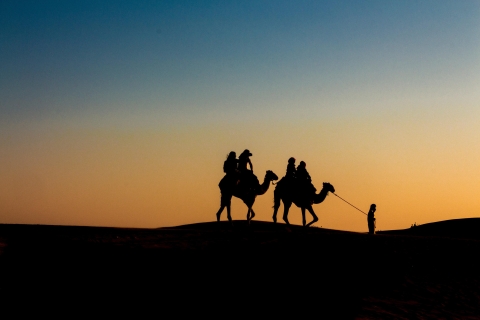 Doha : Visite privée combinée d'un safari complet dans le désert et d'une promenade en véhicule tout-terrain.