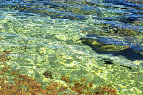 Snorkel y barbacoa en la costa