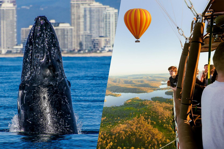 Gold Coast: Hot Air Balloon, Breakfast &amp; FREE Whale Watching